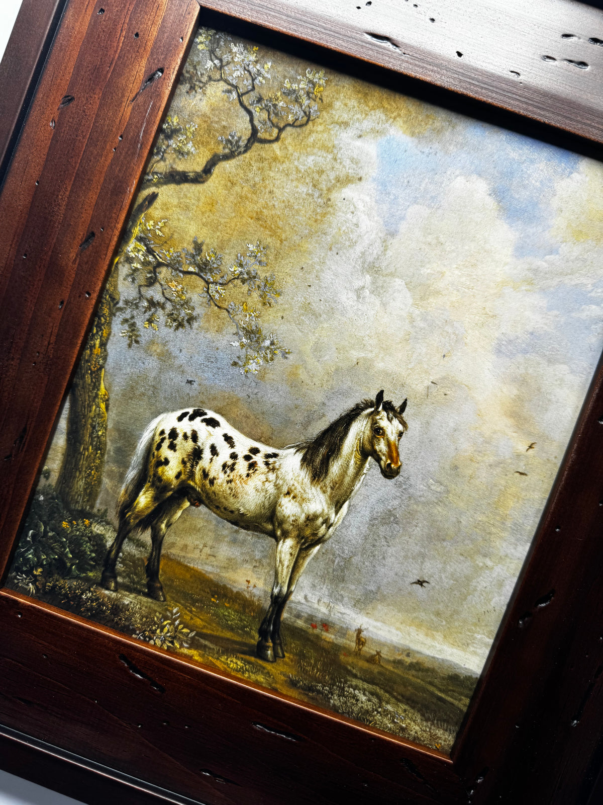 The Piebald Horse
