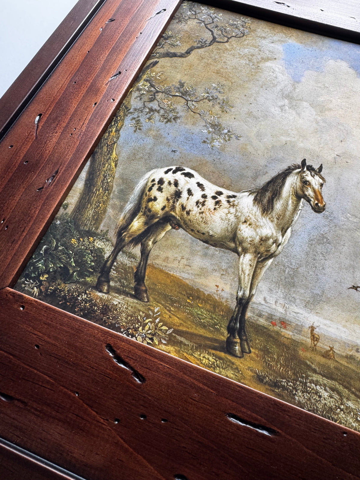 The Piebald Horse